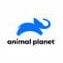 animal-planet