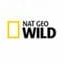 nat geo wild