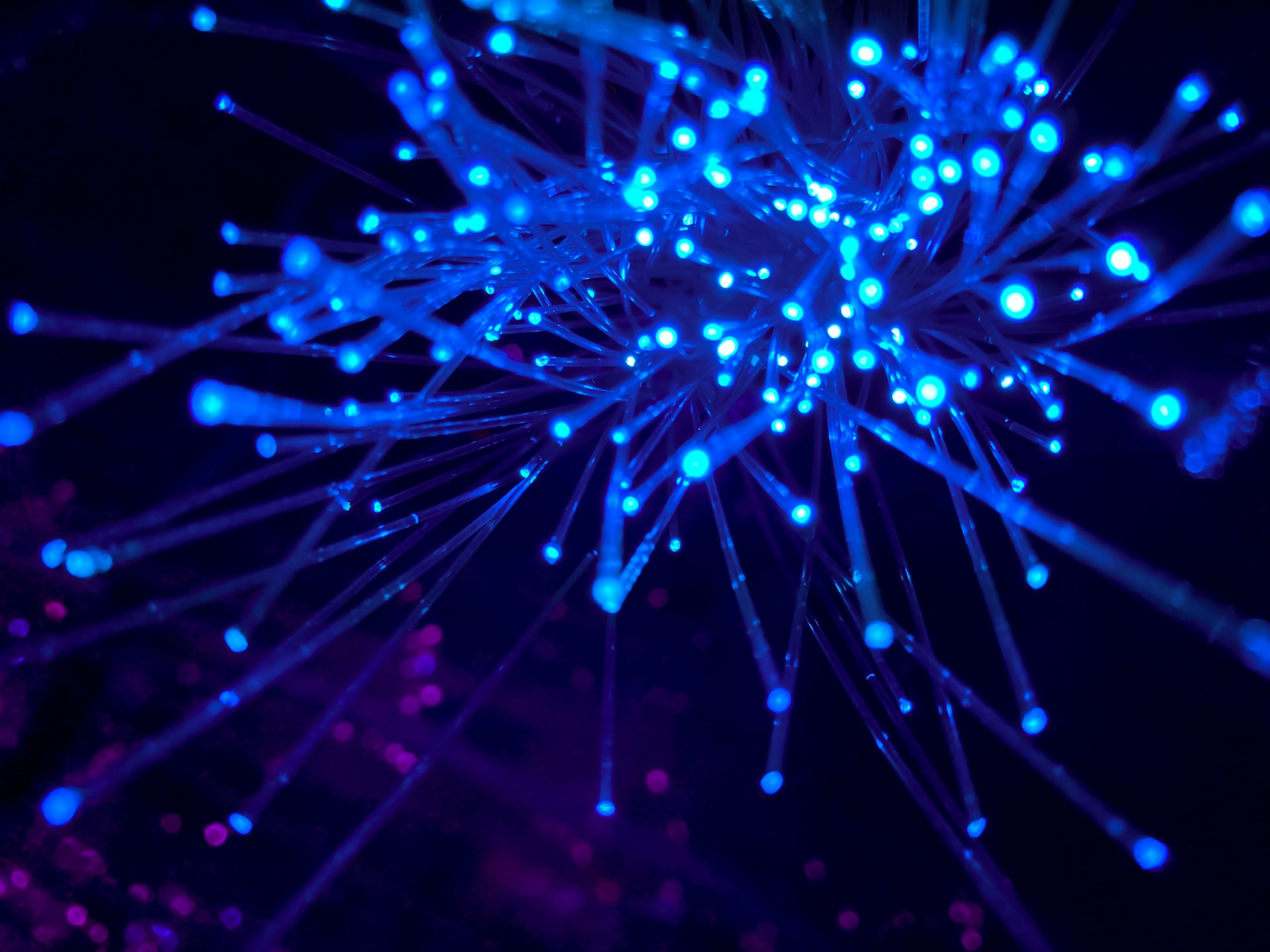 business vs residential internet